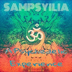 A'Psychedelic Experience