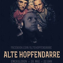 Zerhakkt den Takkt @ alte Hopfendarre Emersleben 28.05.16 (Setcut).mp3