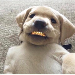 No Problem (slowed)
