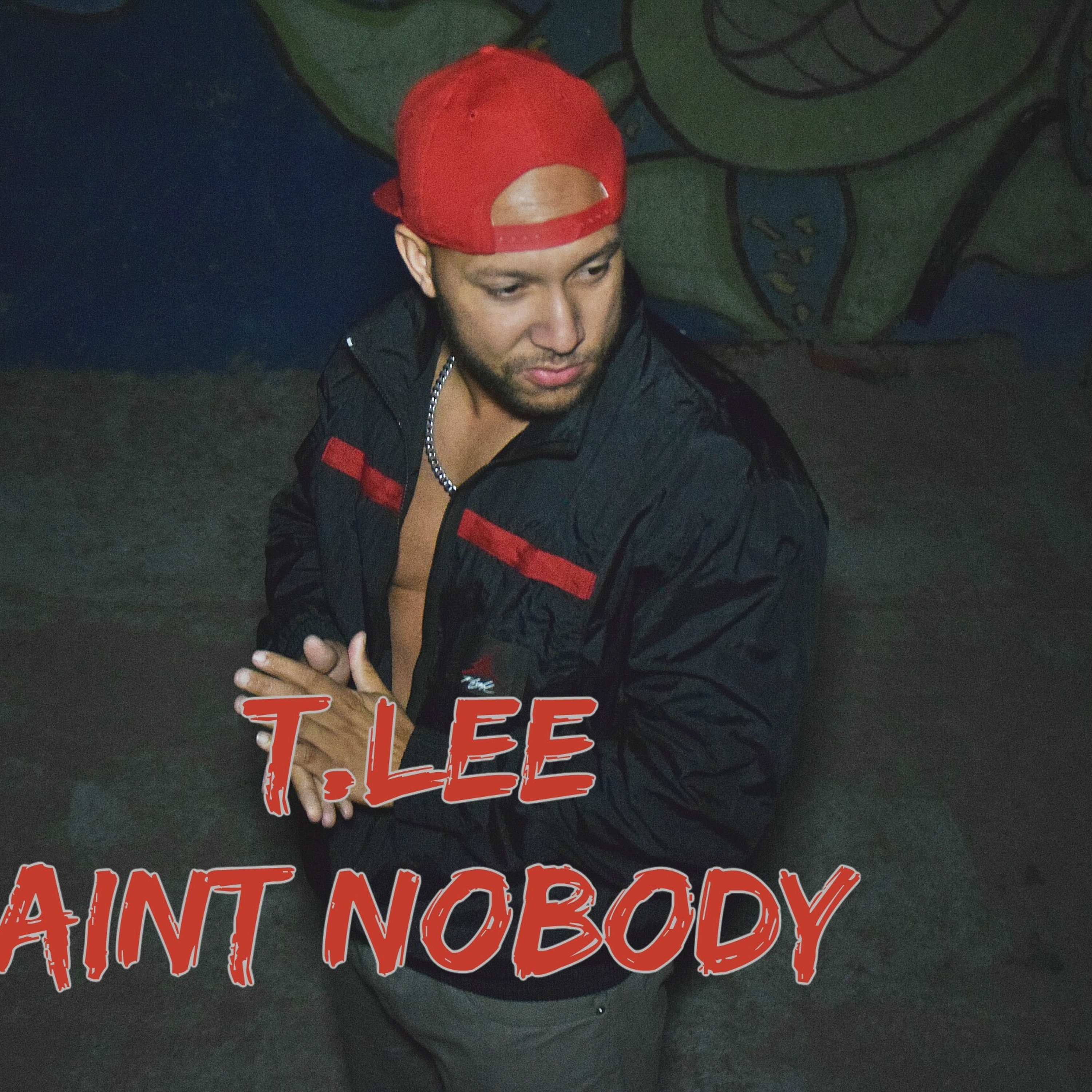 T.LEE-Aint Nobody episode artwork