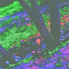 $ILKMONEY DBSB SLABBED N BAGGED