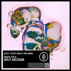 Yclept Insan / SPELLWRKS - Split Decision