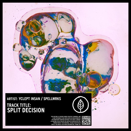 Yclept Insan / SPELLWRKS - Split Decision