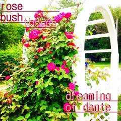 Rose Bush Thorns