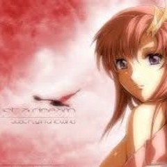 [gundam Seed Destiny] Honoo No Tobira