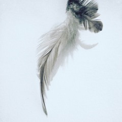 A Short Dream With Some Tears