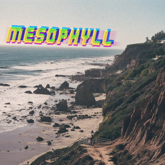 Mesophyll