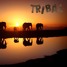 Tribal (Original Mix)