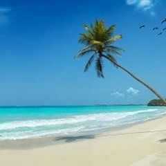 My Dear Land Rarotonga Tara