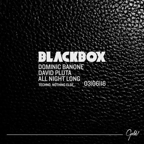 David Pluta & Dominic Banone (b2b) @ Blackbox 03.06.2016 (Gold Bad KH)