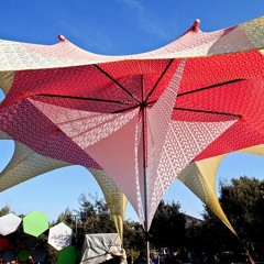 _Live_HAZED_Earth Garden 2016