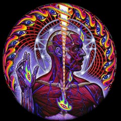 Arcsinus (Dub To Tribe To Trance To Psytrance To Gabber To Hardcore To Nimp)