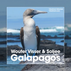 Wouter Visser & Soljee - Galapagos (Original Mix)