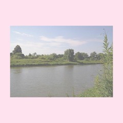 Częściowo Wolne Wybory = Elective Affinity (disquiet0231 Field Complement)