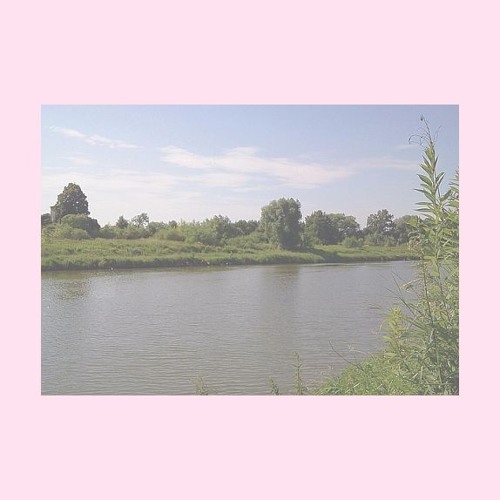Częściowo Wolne Wybory = Elective Affinity (disquiet0231 Field Complement)