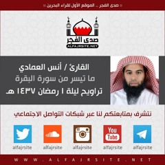 انس العمادي