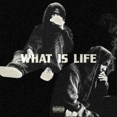 Animals (Prod. London Yellow)