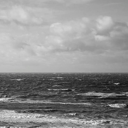 Marco Lucchi - Rowing through (Naviar Haiku 126)