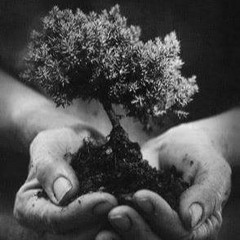 الشيخ محمد العوضي يروي مناظرة الشيخ كشك وقس مسيحي