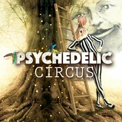 psychedelic Circus 2016