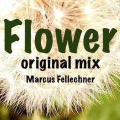Flower original mix / Marcus Fellechner