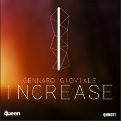 INCREASE (ORIGINAL MIX)