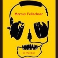 Marcus Fellechner / in the mix / "schwerhörig"
