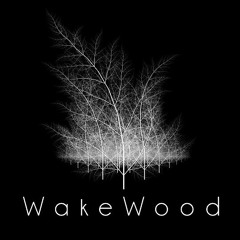 Wakewood - Mike Greenwood - Radio + Audio Reel