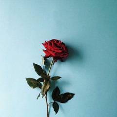 إحذر دُنياك