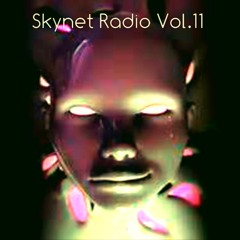 Skynet Radio Vol.11