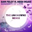 Shadows Of Love (ft. Heidi Rojas)