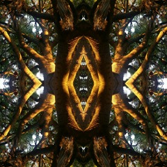 METH TROLL OF EDEN - PART II - LUCID SOUND DESIGN