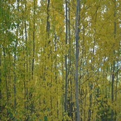 Africa Electro Tribe - Twomasoul -