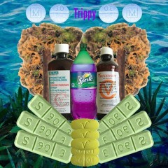 TyMoney $CE - Trippy