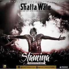 Shatta Wale - Stamina | EnterG