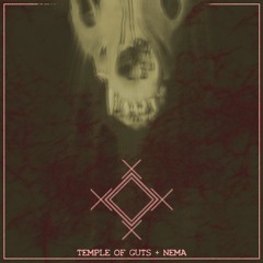 NEMA/TEMPLE OF GUTS - TEARS