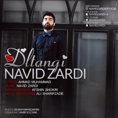 Navid Zardi - Dltangi