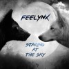 Staring At The Sky Mp3