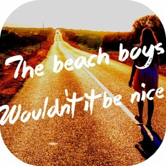 The Beach Boys - Wouldn't It Be Nice (F. Delaunay Remix)