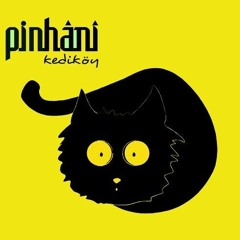 Pinhani - Geri Dönemem