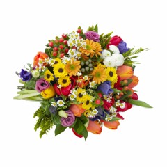 Midnight Wasted (M83 vs Tiesto ft. Matthew Koma)