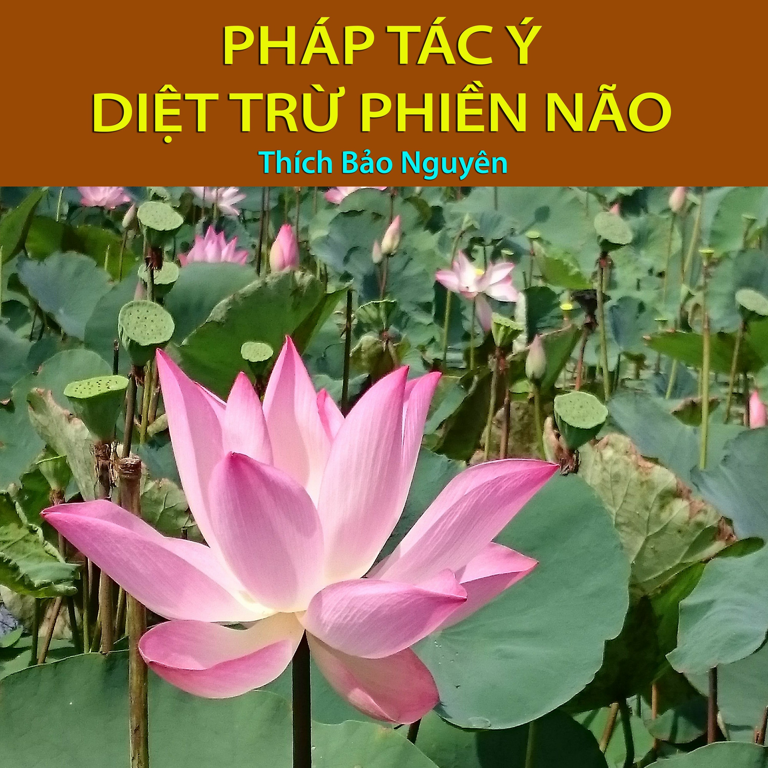 Pháp Tác Ý Diệt Trừ Phiền Não episode artwork