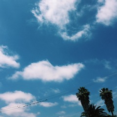 FVM || 06/06