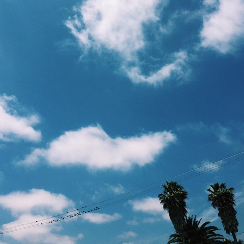 FVM || 06/06