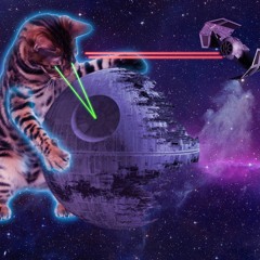 Trapped In The Industry