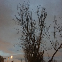 Horse head - I'm Used To That (Cover)