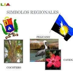 MICRO IDENTIDAD REGIONAL (EL ZULIA Y SU GENTE)
