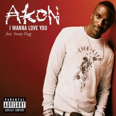 Akon ft. snoop dogg-I wanna love you