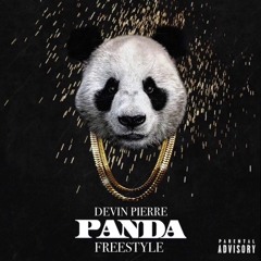 Panda Freestyle