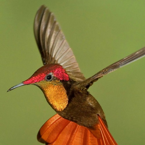 [2016 Soca Gym Mix] BLAZING HOT, HIGH ENERGY 2016 Soca workout Mix ft- Machel, Ola, Destra, Kerwin+.mp3